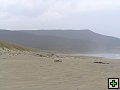 thn_Steward Island 025.jpg